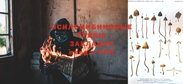 прущая мука Каменка