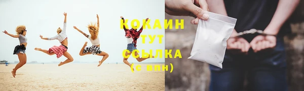 прущая мука Каменка