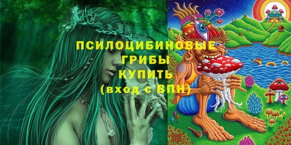 прущая мука Каменка