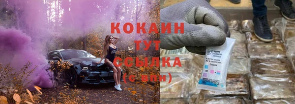 прущая мука Каменка