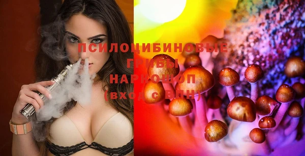 прущая мука Каменка