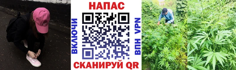 Марихуана MAZAR  Купить где  Гусь-Хрустальный 